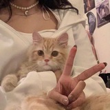Telegram profile photo for AU’s Time ᥫ᭡