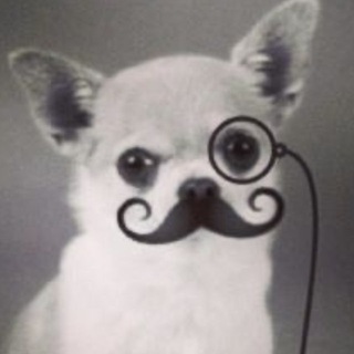 Telegram profile photo for kenjji