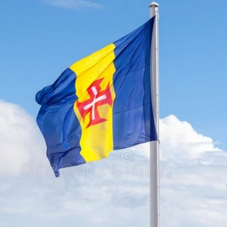 Telegram group profile photo for Madeira & Negocios