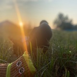 Telegram profile photo for Жизнь шани