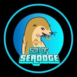 Telegram profile photo for Son Of SeaDoge