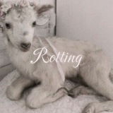 Telegram profile photo for Мурмя брахиозавр ꈍ◡ꈍ