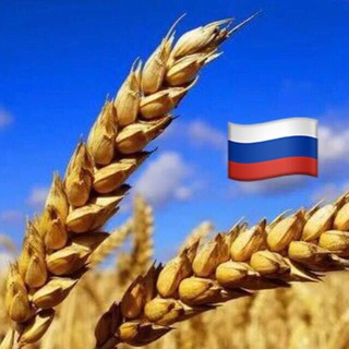 Telegram profile photo for 🇷🇺 ЗЕРНО РОССИЯ