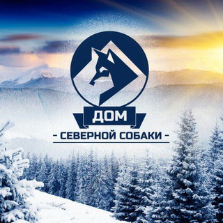 Telegram profile photo for Дом Северной Собаки