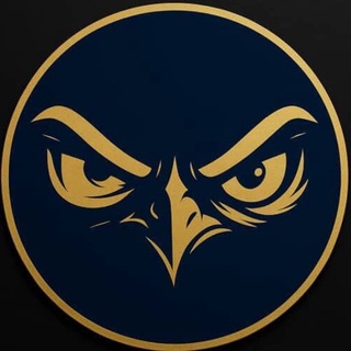 Telegram profile photo for أنصار الصـقـور