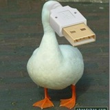 Telegram profile photo for The GooseFather