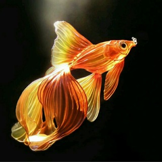 Telegram profile photo for هنرهای دستی