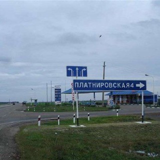 Telegram profile photo for Звёзды платнировской