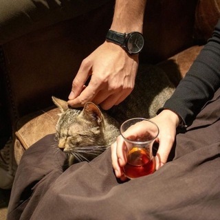 Telegram profile photo for زهـرة ،