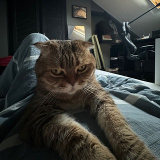 Telegram profile photo for Вади, где альбом?