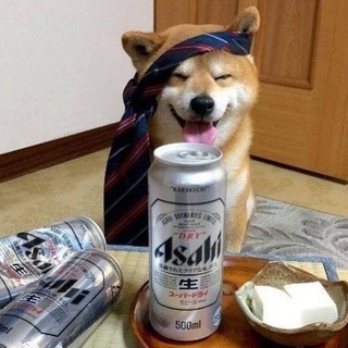 Telegram profile photo for Dog CALLS