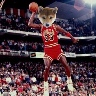 Telegram profile photo for Dog Solana CTO