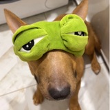 Telegram profile photo for ВХАГОР – дракон и выпечка