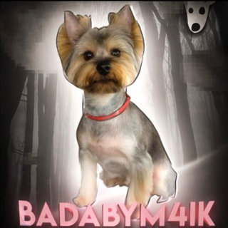 Telegram profile photo for Badabym4ik