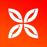 Telegram profile photo for Много Плитки