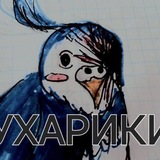Telegram profile photo for Карандаши приехали