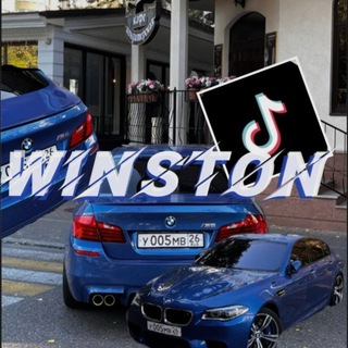 Telegram profile photo for Winston 🗽