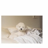 Telegram profile photo for love scenario