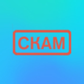 Telegram profile photo for scamtonchat