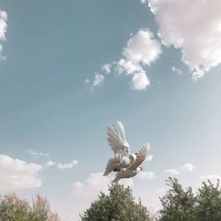 Telegram profile photo for مُتَّسعْ 𐦍 ⋆ ˚.