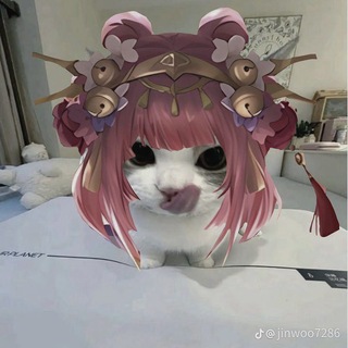 Telegram profile photo for amnesia dollhouse