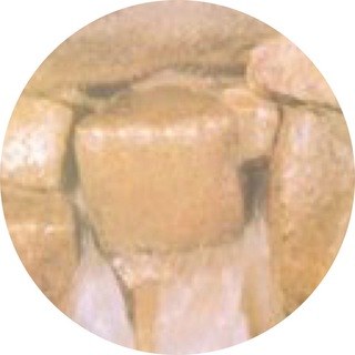 Telegram profile photo for استشارات في الرقية