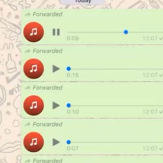 Telegram profile photo for ליאור אזולאי - ערוץ ההקלטות