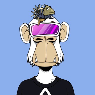Telegram profile photo for ایردارپ چالش 3000دلاری