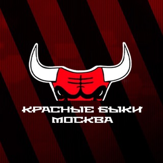 Telegram profile photo for БЫКИ LIVE 🔴