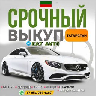 Telegram profile photo for ЕА7 AVTO