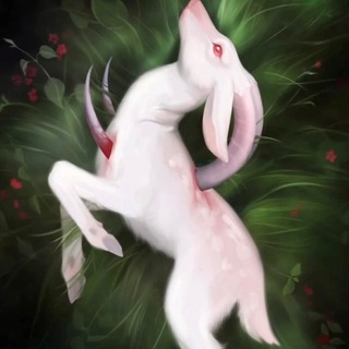 Telegram profile photo for Derman