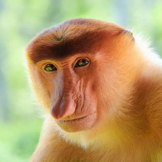 Telegram profile photo for ЧЕЛЛЕНДЖ