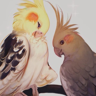 Telegram profile photo for biorb