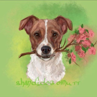 Telegram profile photo for 🌿Хата Шанди🌿