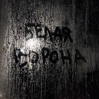 Telegram profile photo for БЕЛАЯ ВОРОНА