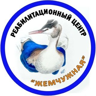 Telegram profile photo for Жемчужная Реабилитационный центр Официальный канал
