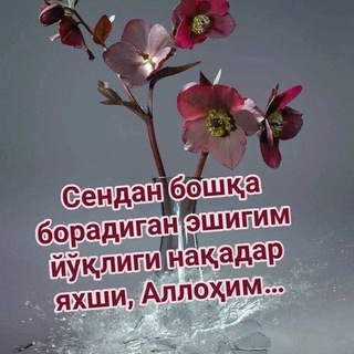 Telegram profile photo for Қалбим ҳамиша баҳор