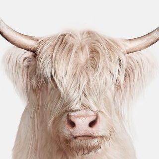 Telegram profile photo for МИЛОРD