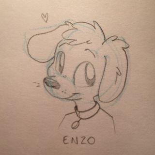 Telegram profile photo for Enzo’s bin