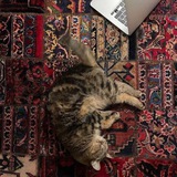 Telegram profile photo for А