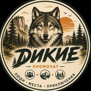 Telegram group profile photo for Чат «Диких»