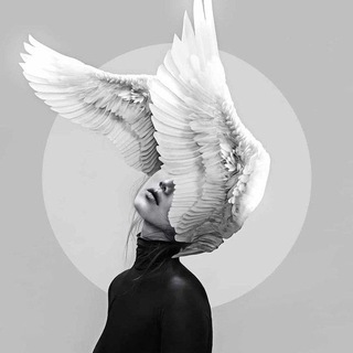 Telegram profile photo for أثرُ الفراشةِ 🦋