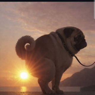 Telegram profile photo for to44sik