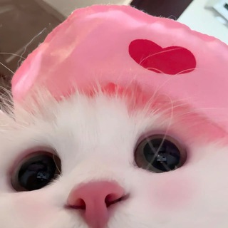Telegram profile photo for HookVip