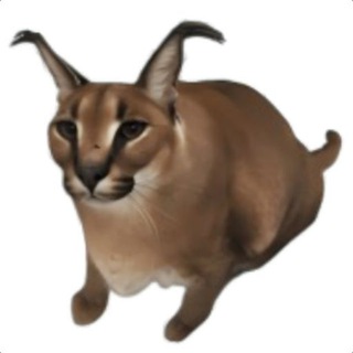 Telegram profile photo for Floppa Cat