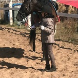 Telegram profile photo for 🐴𝙷𝚘𝚛𝚜𝚒𝚗𝚐 𝚊𝚗𝚍 𝚖𝚢 𝚕𝚒𝚏𝚎 🐴