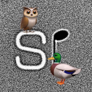 Telegram profile photo for Si_ornitology