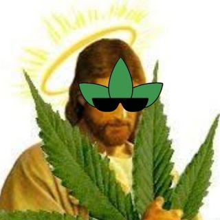 Telegram profile photo for trees.finance MEME library