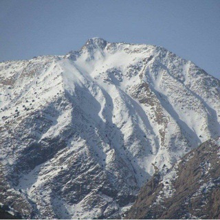 Telegram profile photo for کانال کاریزان آنلاین