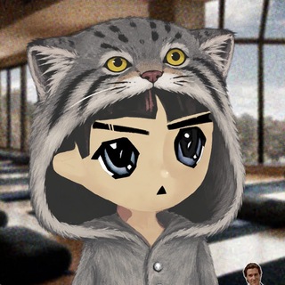 Telegram profile photo for Manul Capital